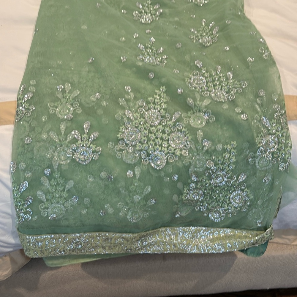 Embellished Sage Green with silver work saree